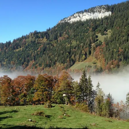 公寓 Swiss Seeblick Mit Hotelanbindung